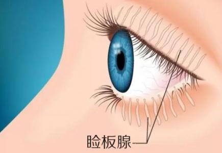 u=2866496932,2213274562&fm=26&gp=0.jpg u=2866496932,2213274562&fm=26&gp=0.jpg