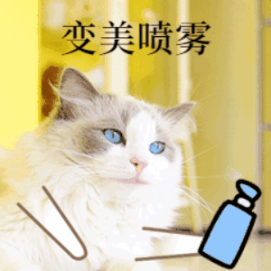 四六级考研期末考试喷雾GIF动图表情包.gif 四六级考研期末考试喷雾GIF动图表情包.gif