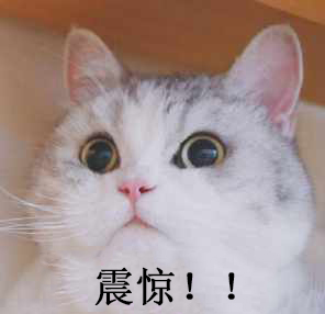 u=3035221245,3313247800&fm=26&gp=0.jpg u=3035221245,3313247800&fm=26&gp=0.jpg